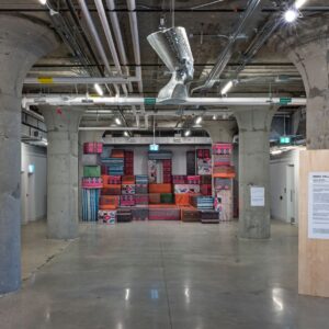 DEMOS A RECONSTRUCTION – Museum of Contemporary Art Poofomania