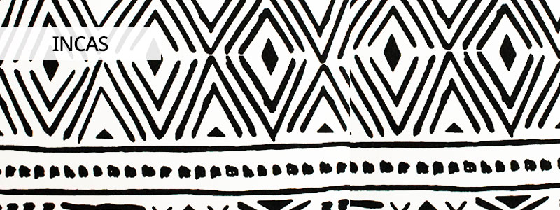 incas-Header-Image-1